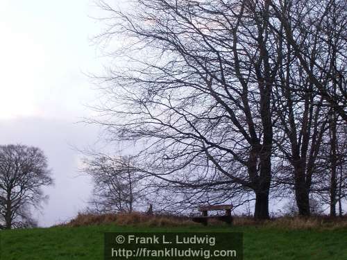 Lough Key Forest Park